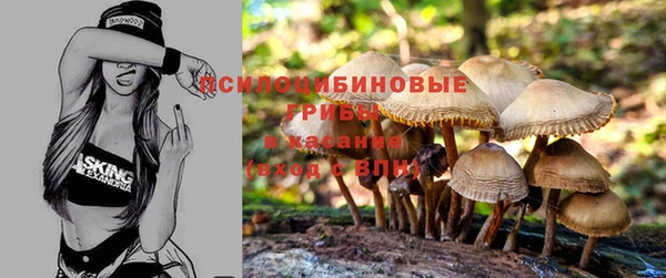 герыч Алексин